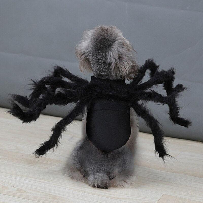 Disfraz de araña para mascotas